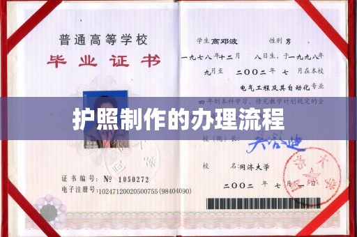 巴塘护照制作的办理流程