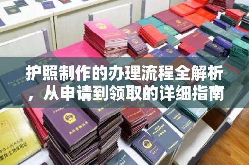 巴塘护照制作的办理流程全解析，从申请到领取的详细指南