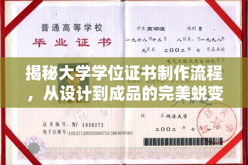 巴塘揭秘大学学位证书制作流程，从设计到成品的完美蜕变