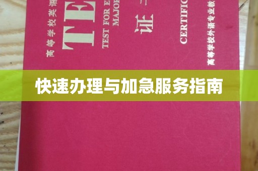 巴塘快速办理与加急服务指南
