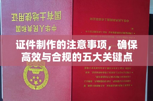 巴塘证件制作的注意事项，确保高效与合规的五大关键点