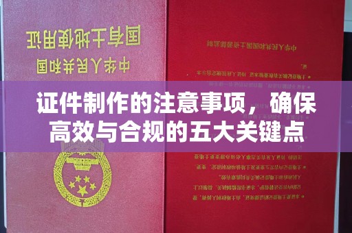 巴塘证件制作的注意事项，确保高效与合规的五大关键点