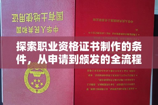 巴塘探索职业资格证书制作的条件，从申请到颁发的全流程解析