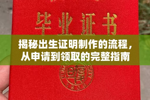 巴塘揭秘出生证明制作的流程，从申请到领取的完整指南