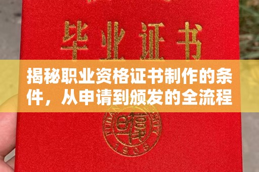 巴塘揭秘职业资格证书制作的条件，从申请到颁发的全流程解析
