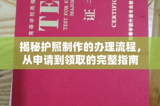 巴塘揭秘护照制作的办理流程，从申请到领取的完整指南