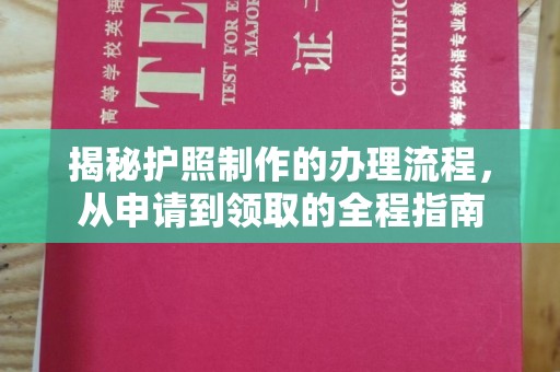 巴塘揭秘护照制作的办理流程，从申请到领取的全程指南