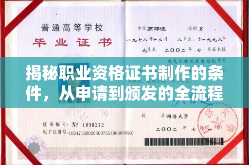 巴塘揭秘职业资格证书制作的条件，从申请到颁发的全流程解析